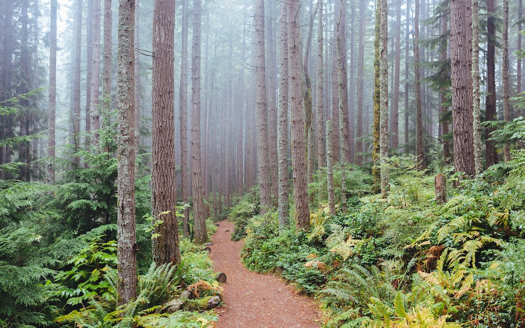 Granite Falls, Washington
