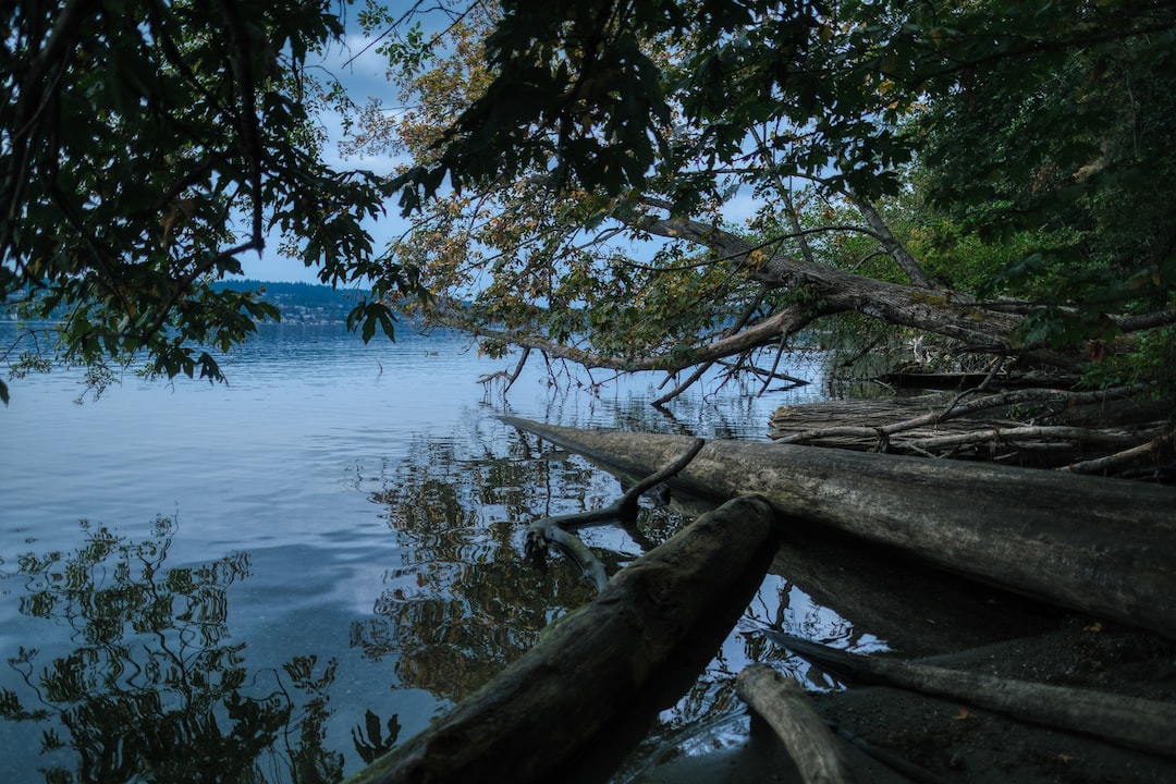 Kenmore, Washington