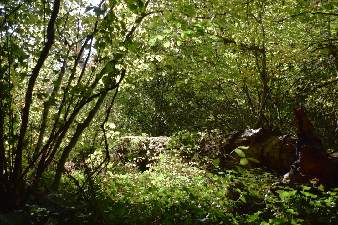 Woodway, Washington